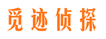 大方外遇调查取证